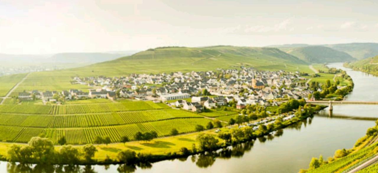Ferienwohnung Bergblick Trittenheim Exterior foto